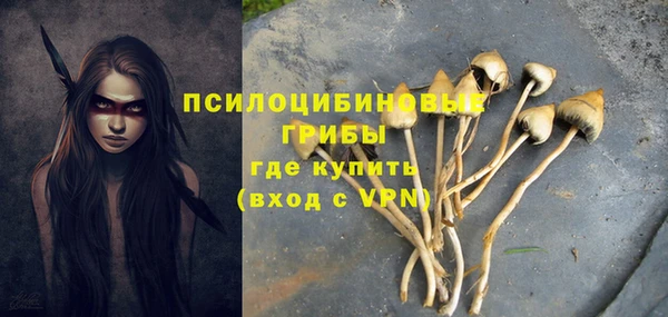 МДМА Михайловка