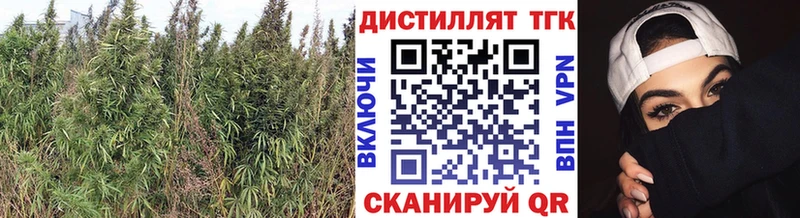 Купить  Пудож  ТГК гашишное масло 