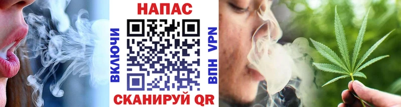 Купить  Пудож  Канабис ГИДРОПОН 