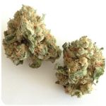 Шишки "White Widow"  (Белая вдова)  Гидропоника -  Бошка VHQ в Пудоже
